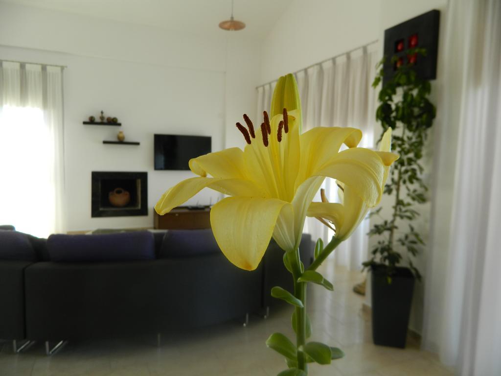 Dionysos Villa Peyia Extérieur photo